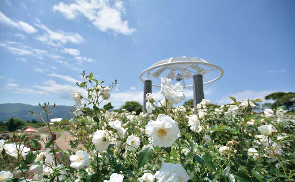 キャプションの説明