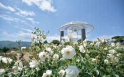 キャプションの説明