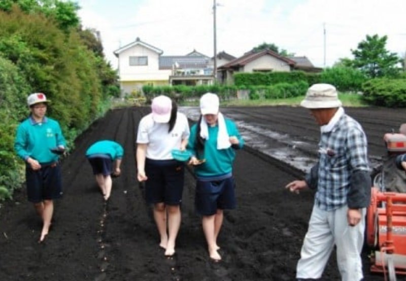 キャプションの説明