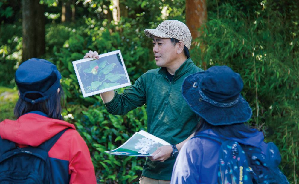 キャプションの説明