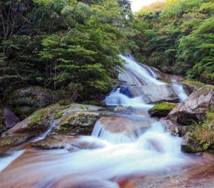 キャプションの説明