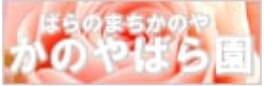 ばらのまちかのや かのやばら園